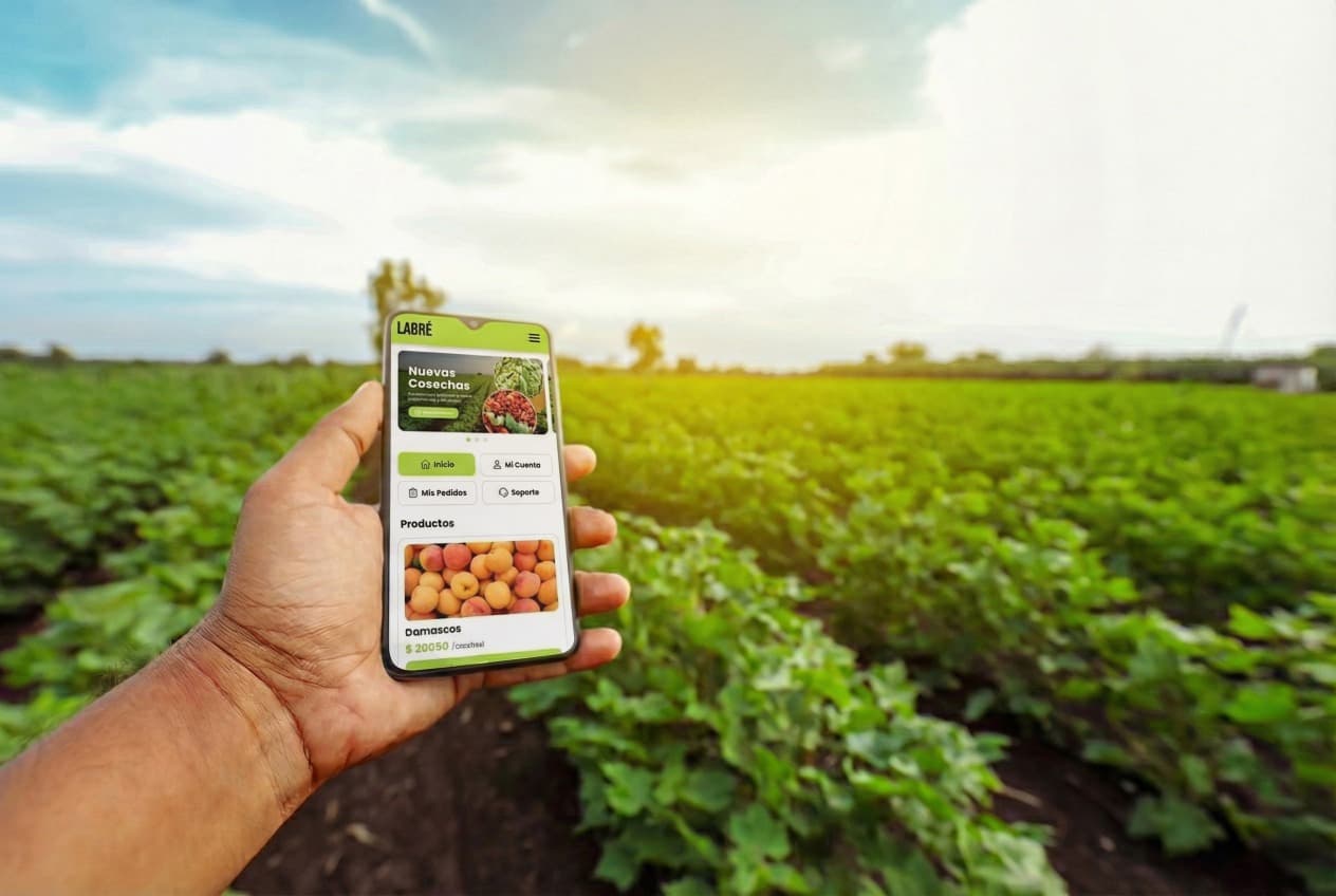 Productores en campo